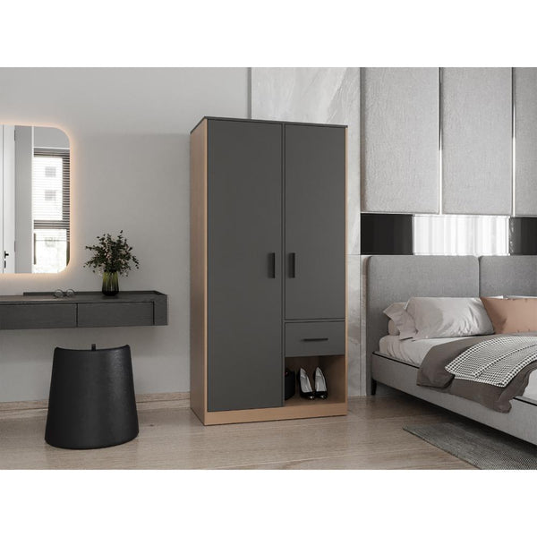 Closet Alderin, Plata Oscuro y Fresno Europeo, de dos puertas ZF